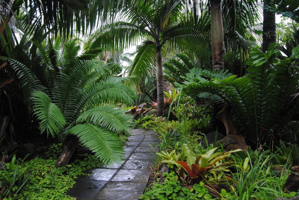 Buya Futhi Bed & Breakfast Saint Lucia Estuary Exteriér fotografie