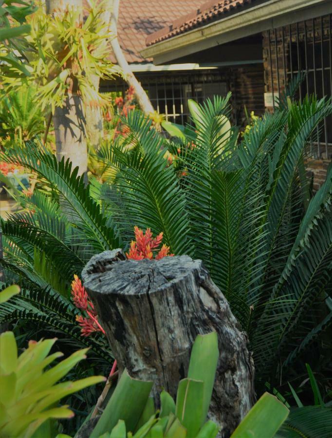 Buya Futhi Bed & Breakfast Saint Lucia Estuary Exteriér fotografie
